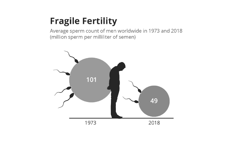male fertility